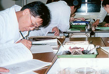 A laboratory class in progress