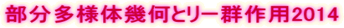 部分多様体幾何とリー群作用2014