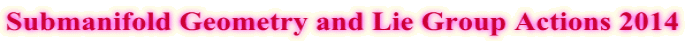 Submanifold Geometry and Lie Group Actions 2014