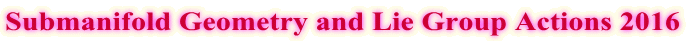 Submanifold Geometry and Lie Group Actions 2016