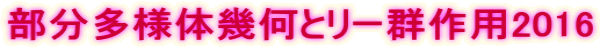部分多様体幾何とリー群作用2016