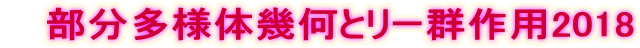 部分多様体幾何とリー群作用2018