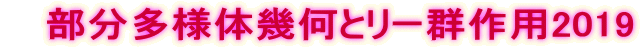 部分多様体幾何とリー群作用2019