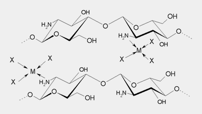 Chitosan-Cu̍\