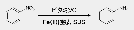 jgx[̊Ҍ