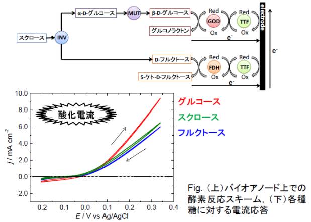 東京理科大学 駒場研究室