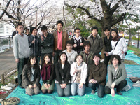 hanami03.jpg