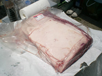 shiohigari01.jpg