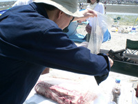 shiohigari02.jpg