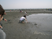 shiohigari19.jpg