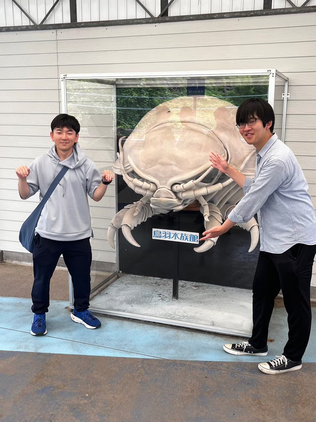 写真の説明