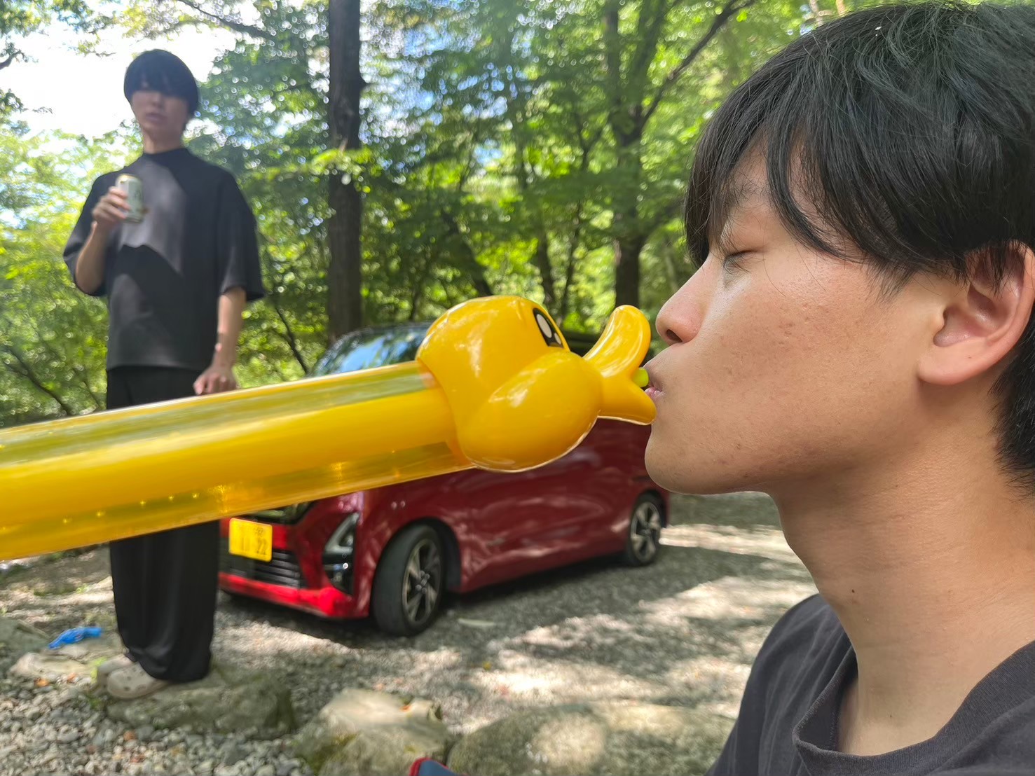 写真の説明