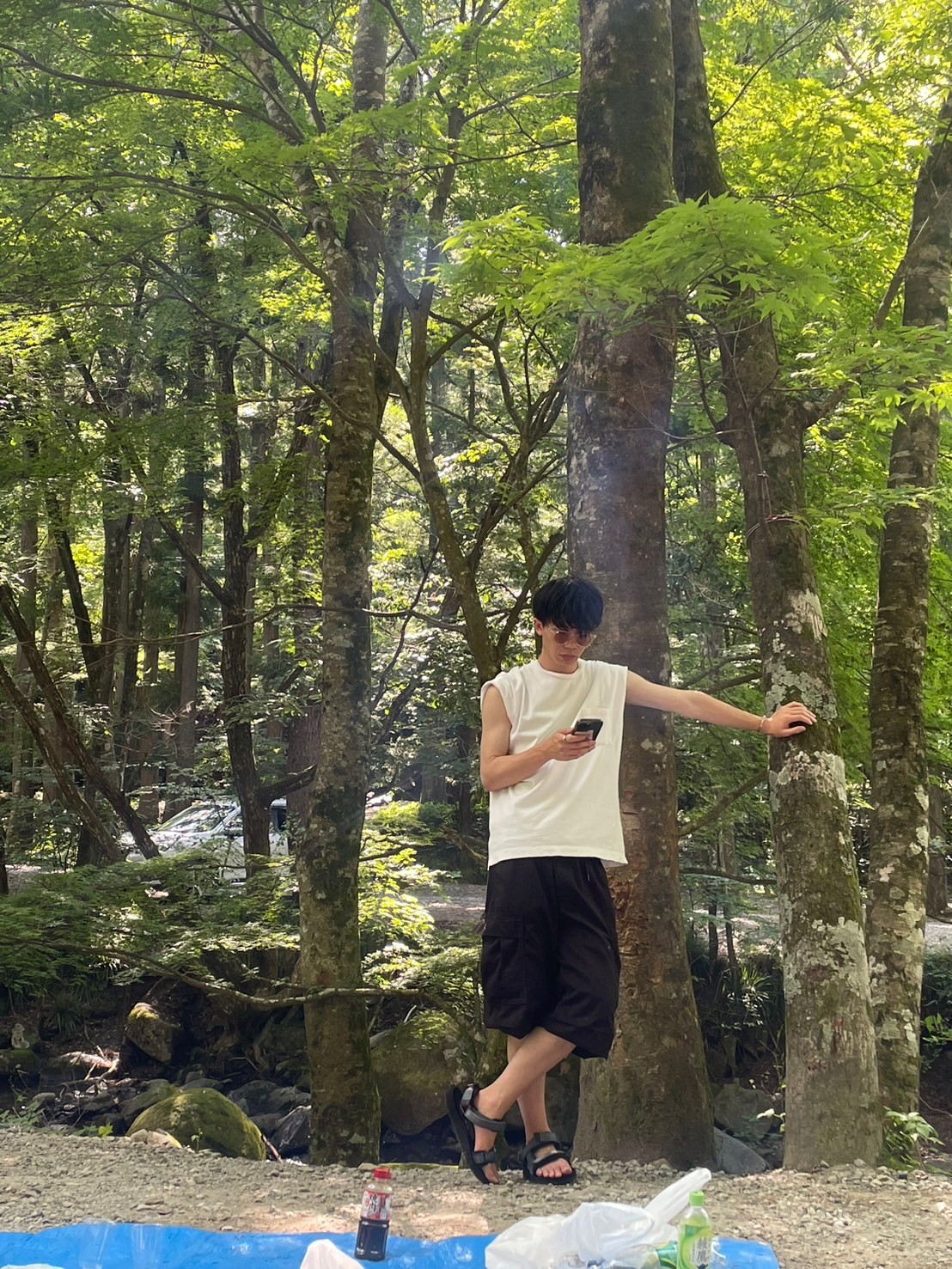 写真の説明