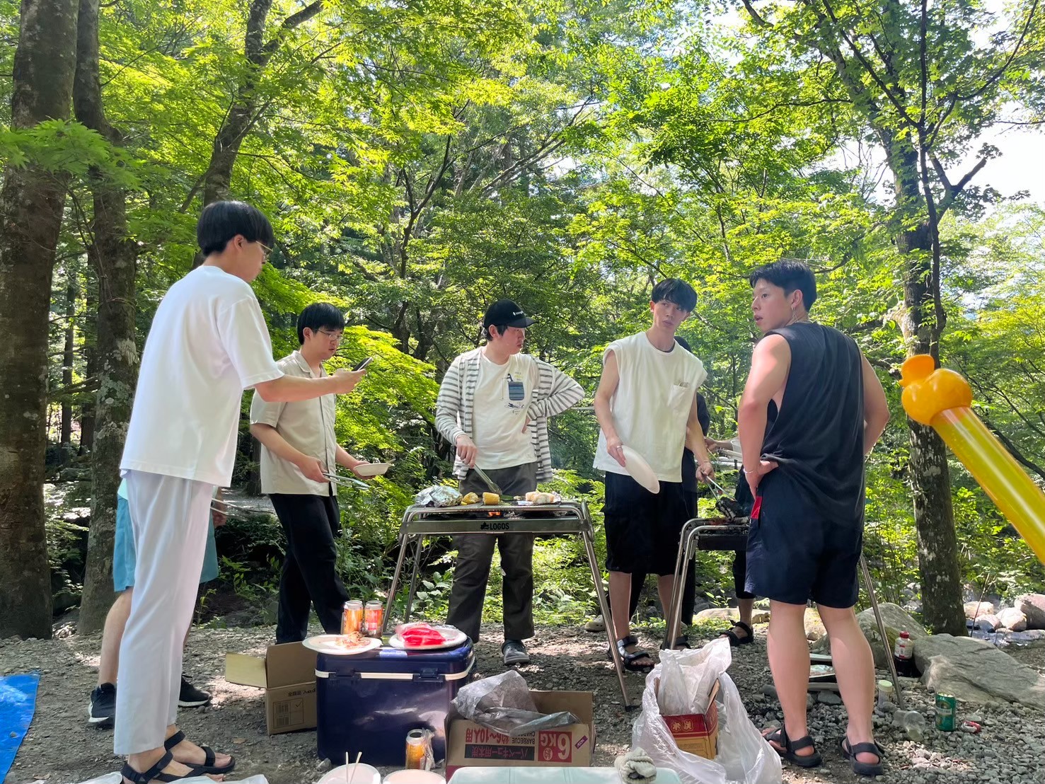 写真の説明