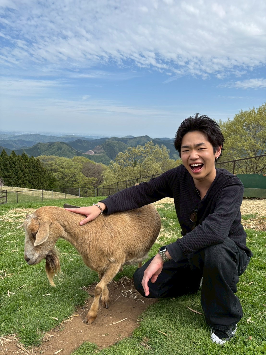 写真の説明を入れます