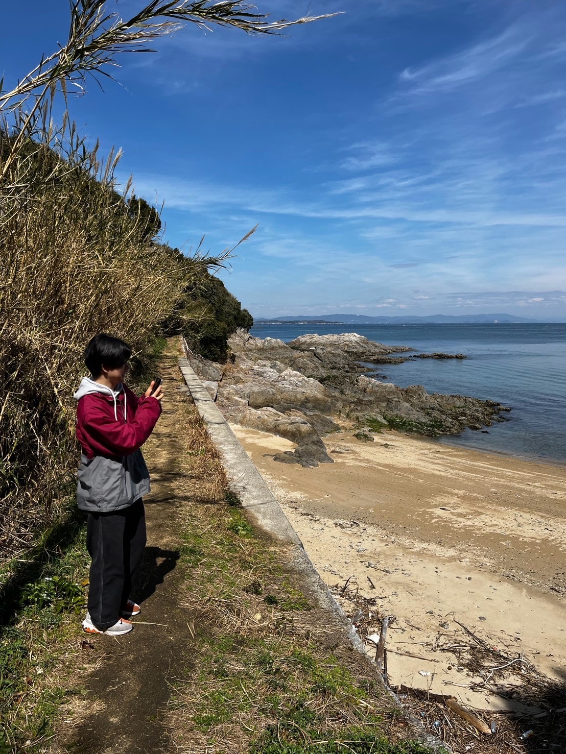 写真の説明を入れます