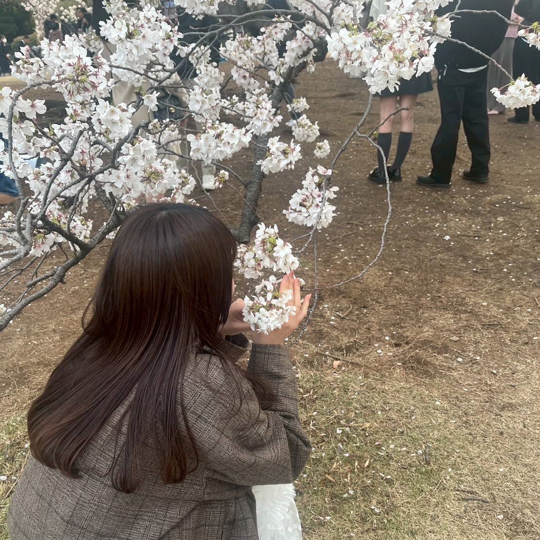 写真の説明