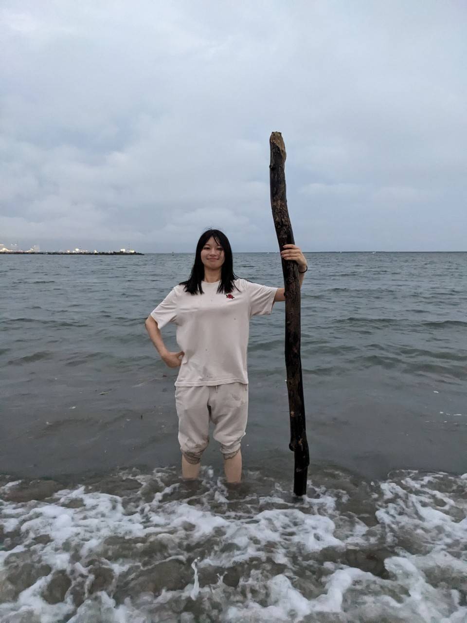 写真の説明を入れます