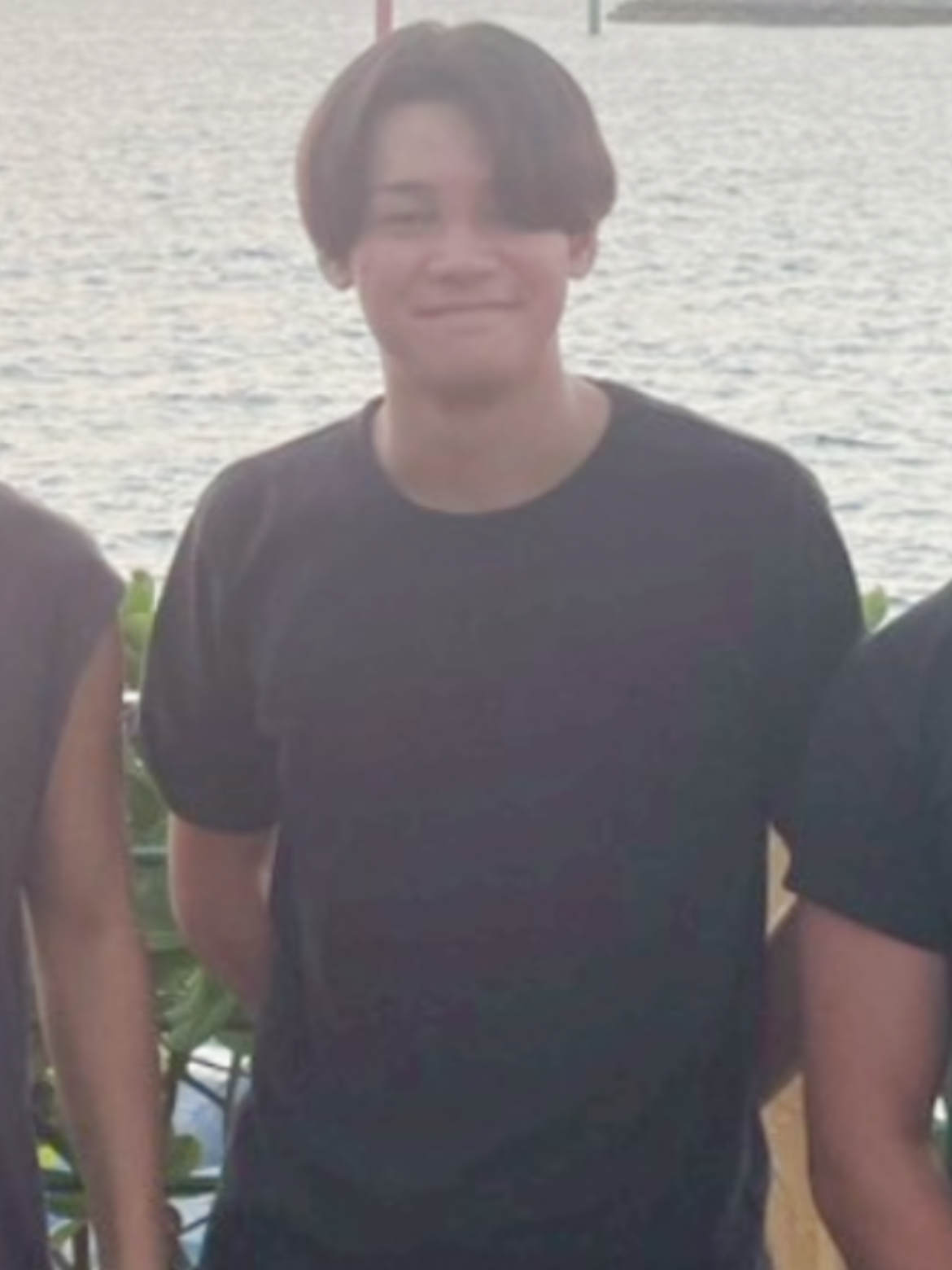 写真の説明を入れます