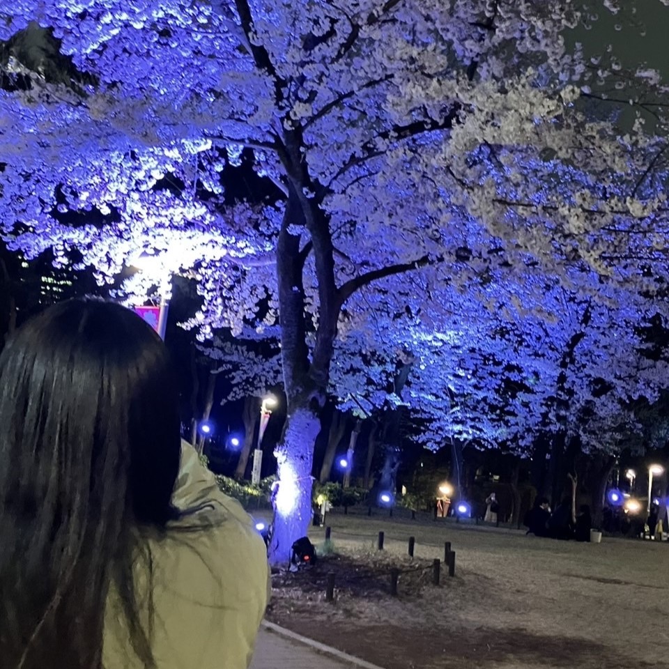 写真の説明