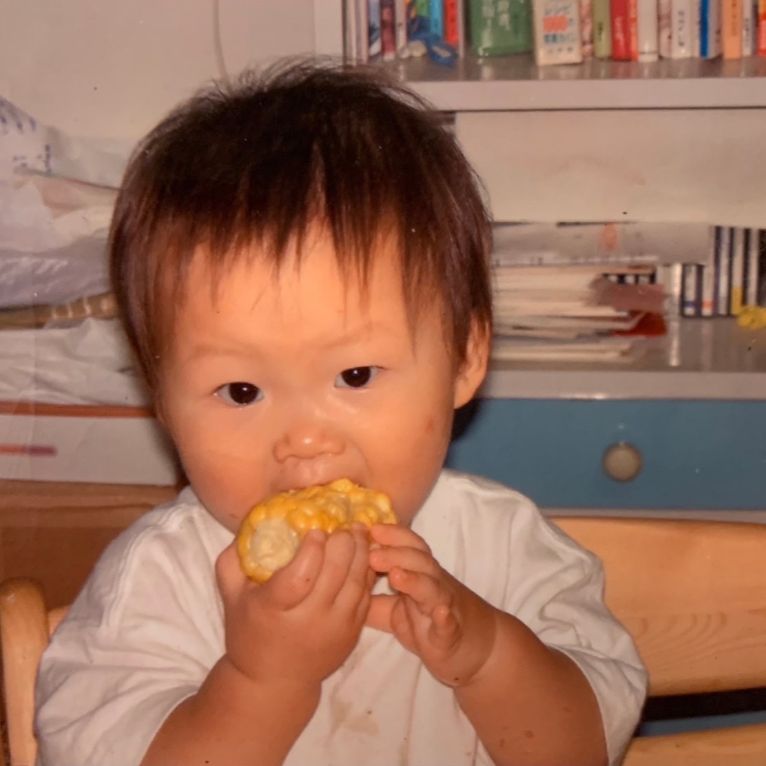 写真の説明