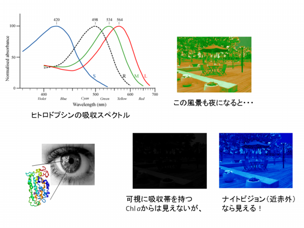 infrared.png