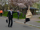トップ写真