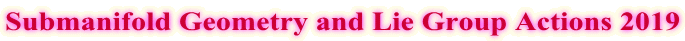 Submanifold Geometry and Lie Group Actions 2019