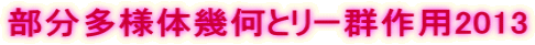 部分多様体幾何とリー群作用2013