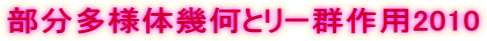 部分多様体幾何とリー群作用2010