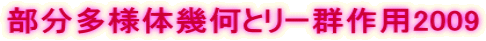 部分多様体幾何とリー群作用2009