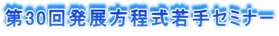 30񔭓WZ~i[ 
