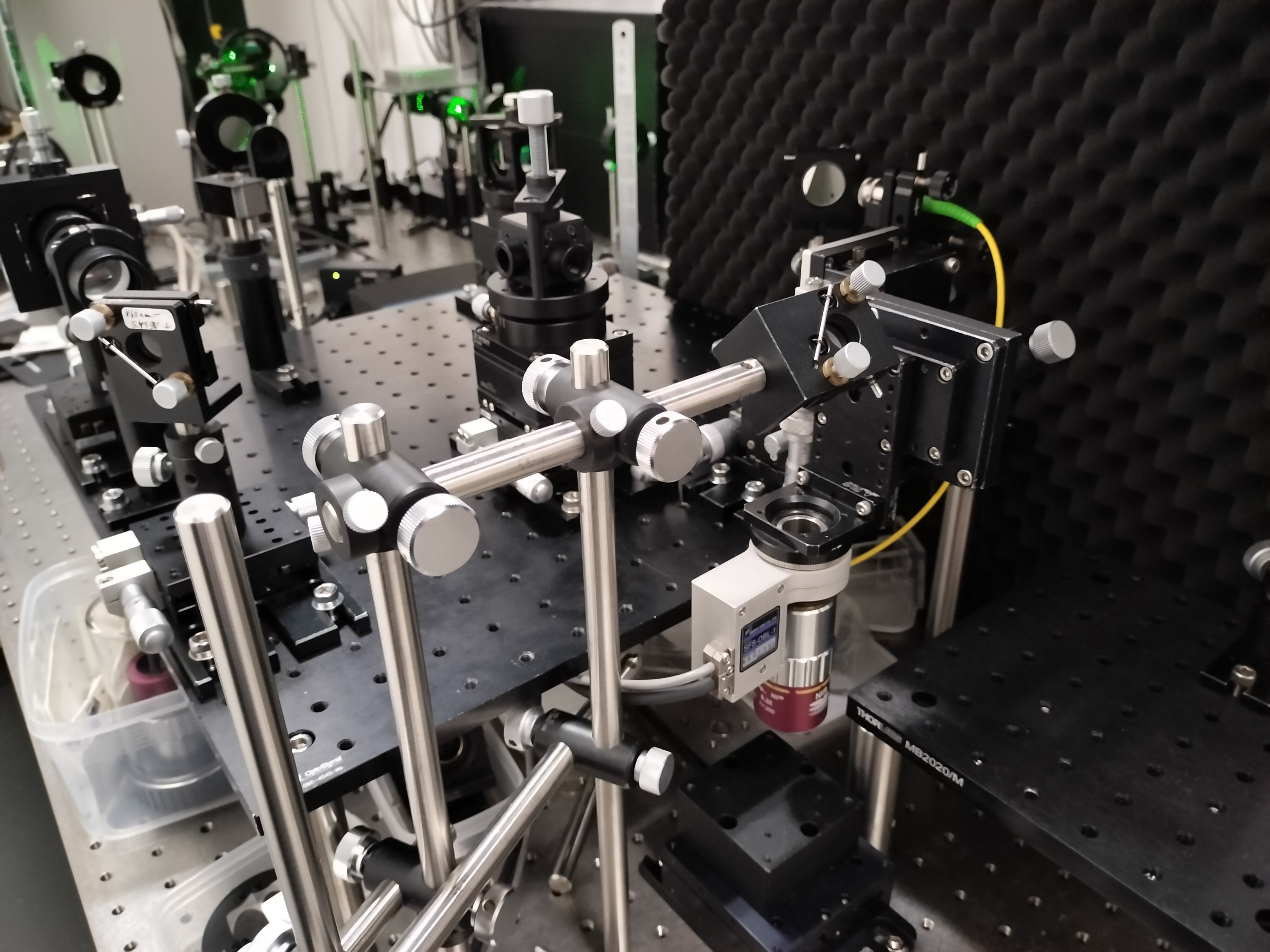 Optical Coherence Tomography(光干渉断層計)